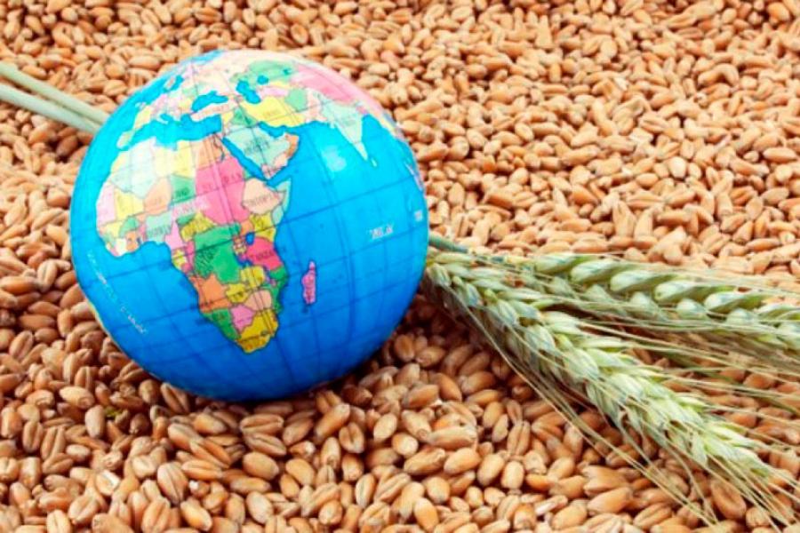 Набор в магистратуру «Мировые аграрные рынки»