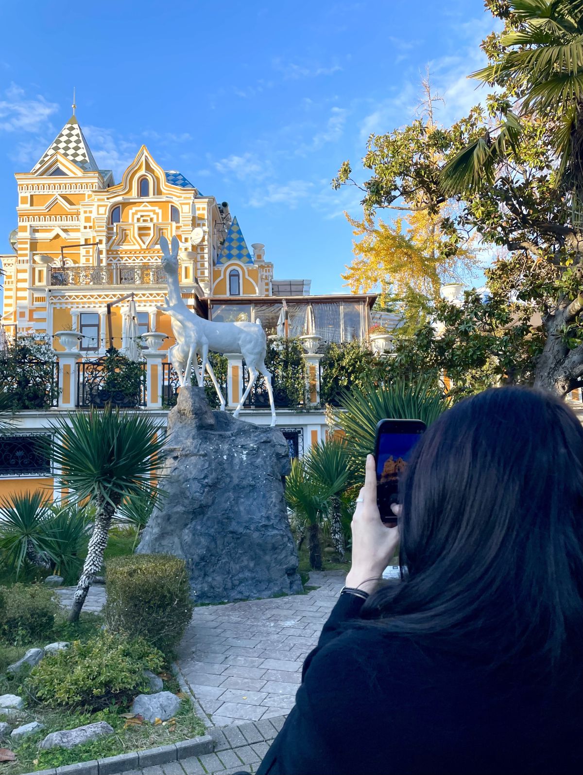 Модуль в Сочи: изучаем туризм и креативные индустрии на практике