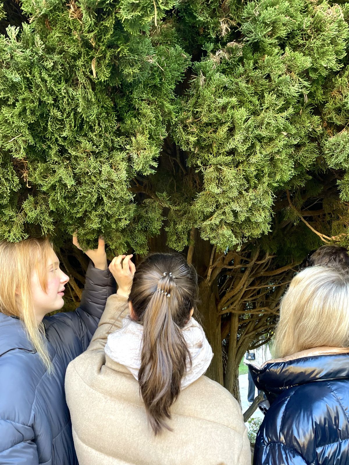 Модуль в Сочи: изучаем туризм и креативные индустрии на практике