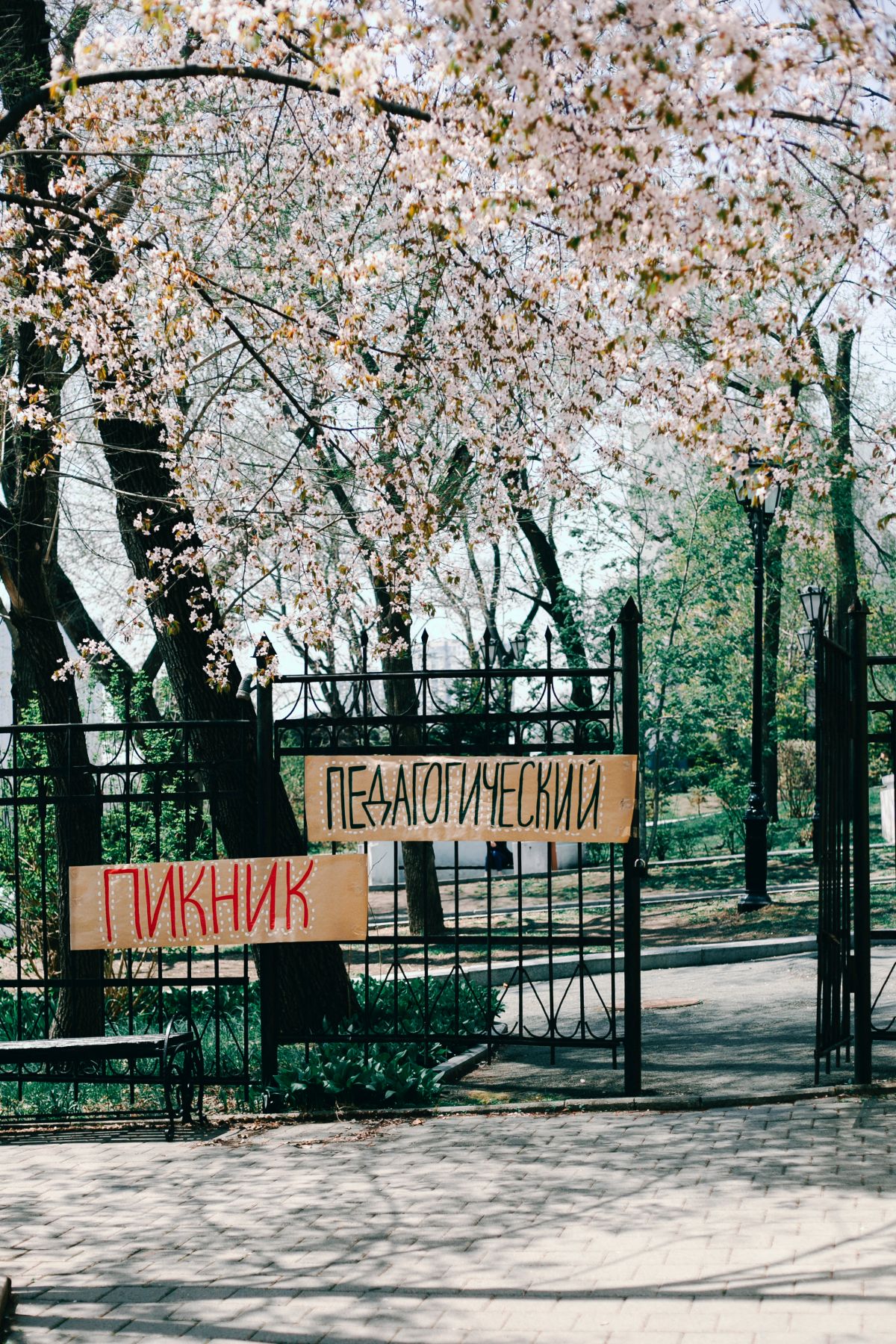 Региональные педагогические конференции — успешный формат подведения итогов учебного года