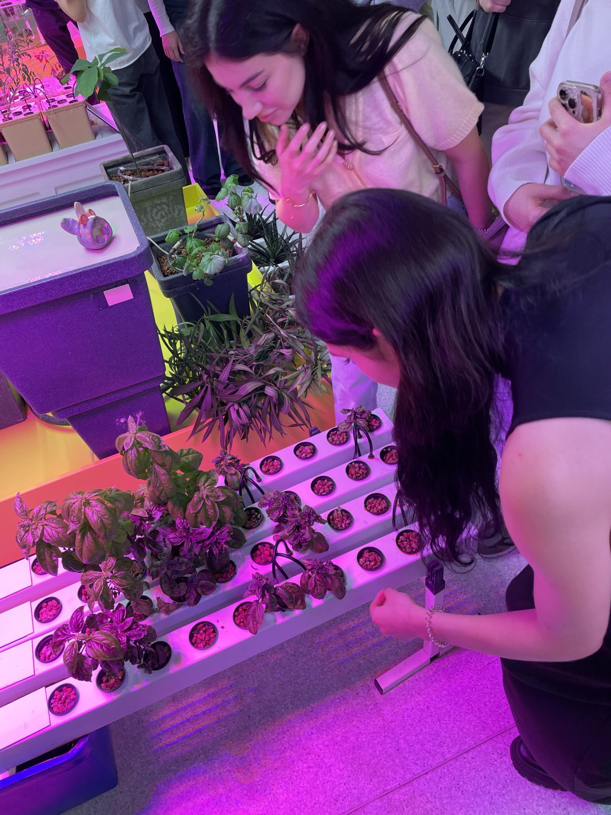 Олимпийское наследие – туризму: Как правильно использовать?