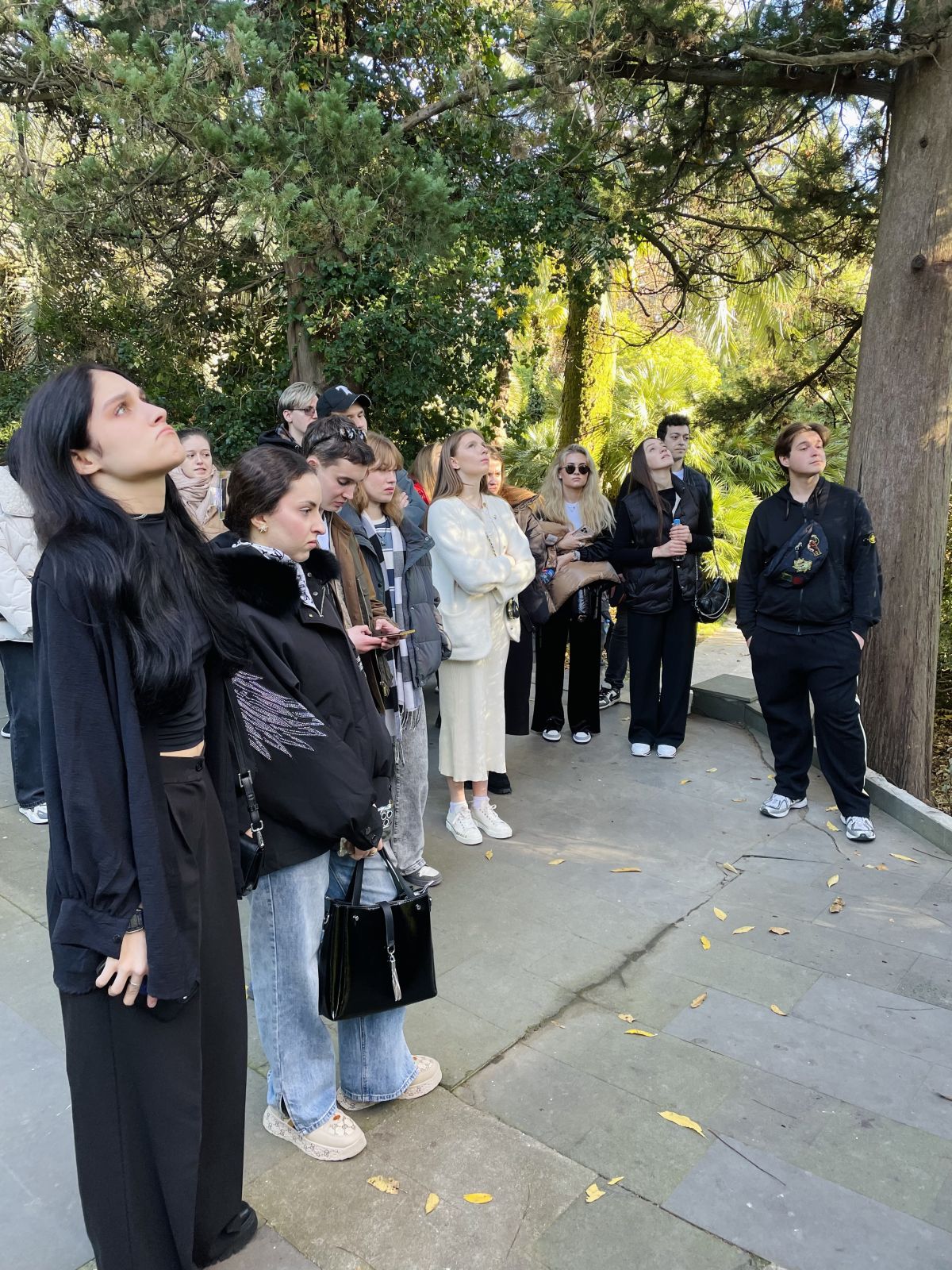 Модуль в Сочи: изучаем туризм и креативные индустрии на практике