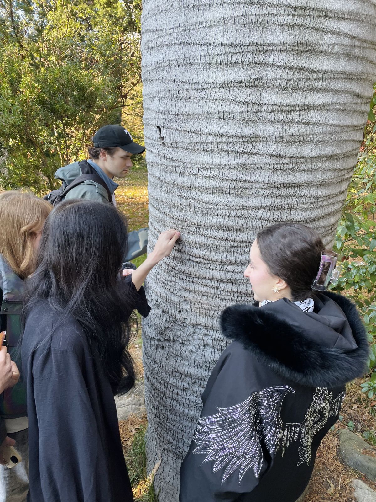 Модуль в Сочи: изучаем туризм и креативные индустрии на практике