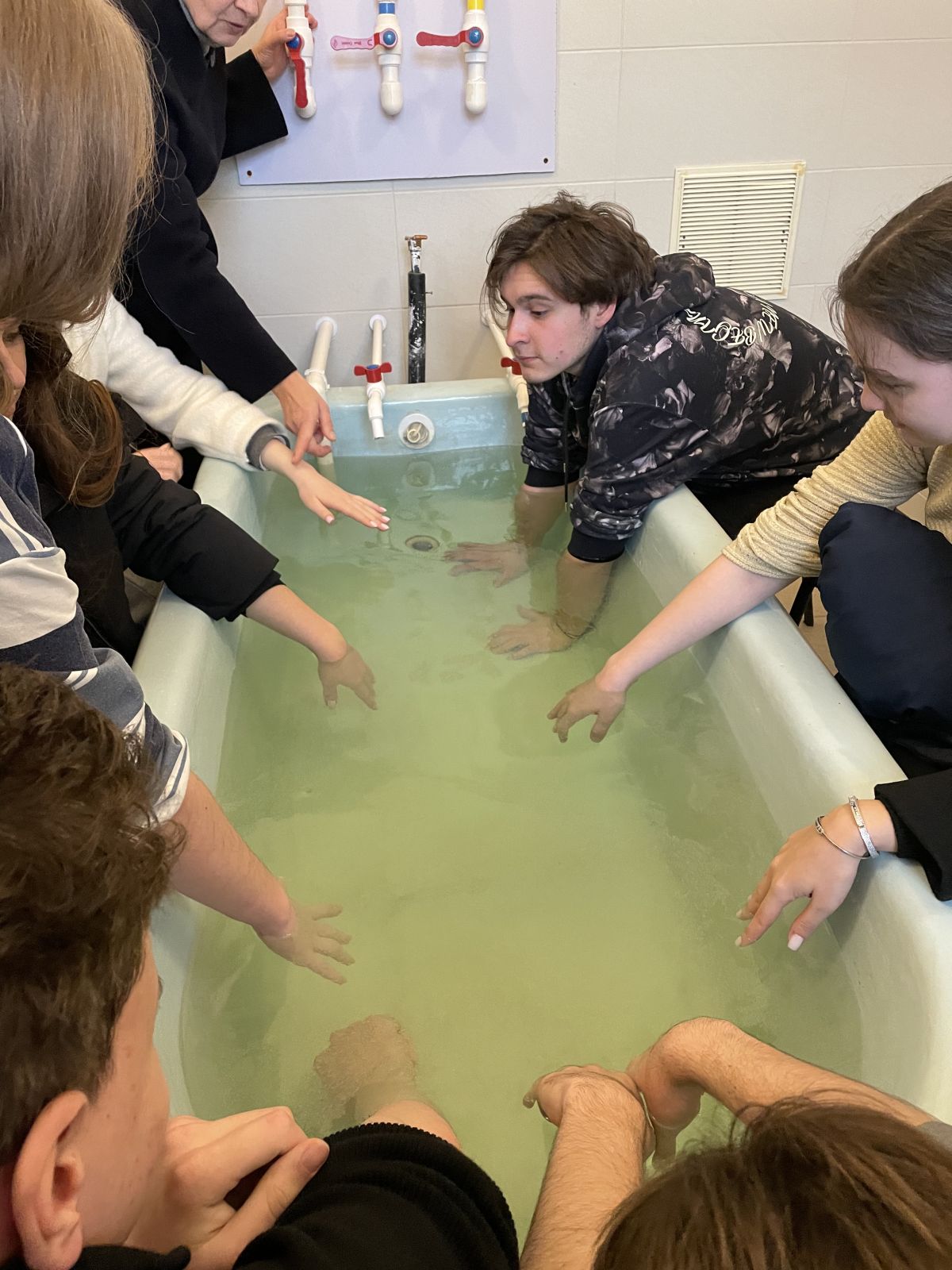 Модуль в Сочи. Нужно учиться у лучших!