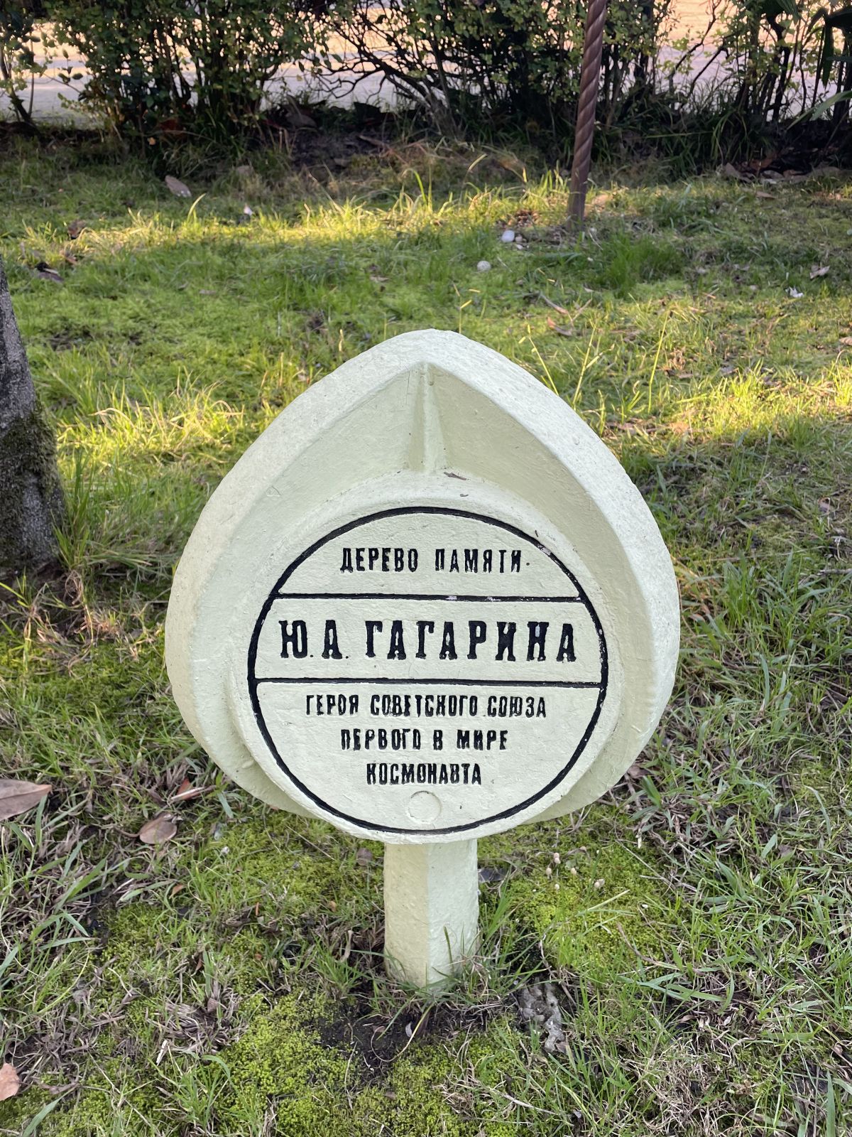 Модуль в Сочи: изучаем туризм и креативные индустрии на практике